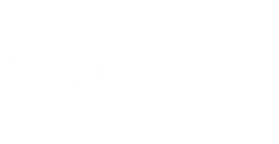 partners who work with BetKing