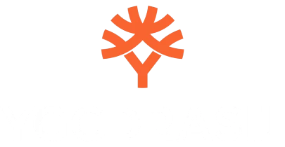 partners who work with BetKing